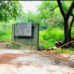 उपराष्ट्रपती पदाच्या निवडणुकीच्या पार्श्वभूमीवर शिवसेना गटनेते डॉ. श्रीकांत शिंदे यांची सोमवारी दिल्लीमध्ये महत्वपूर्ण बैठक