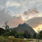 मुंबईसह महापालिकेत स्वबळाचा पर्यायही खुला : सुनिल तटकरे