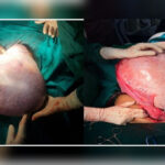 राज्याच्या औद्योगिक भविष्यासाठी भक्कम पायाभरणी