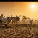 आता वडिलोपार्जित शेतजमिनीच्या वाटणीसाठी नोंदणी शुल्क पूर्णतः माफ