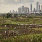 हेक्टरी २२ हजारांची मदत म्हणजे आंबा उत्पादकांची चेष्टा; १५ मे रोजी वर्षावर धडक मोर्चा — उद्धव ठाकरे