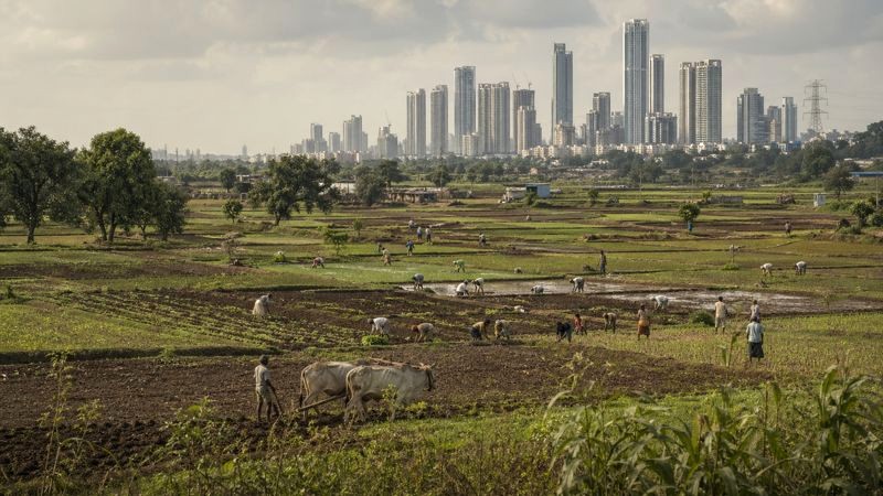 लहान शेतजमिनीवर काम करणारे शेतकरी आणि आर्थिक उत्पादनातील तफावत दर्शवणारे दृश्य