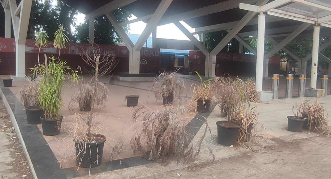 Entrance view of Veer railway station near Mahad showing neglected beautification work and dried plants