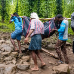 ‘ऑपरेशन टायगर-२’ची चर्चा; भाजप-शिंदे तणावातून नव्या राजकीय समीकरणांची कुजबुज?