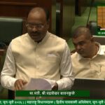 “बोगस” आयव्हीएफ आणि सोनोग्राफी केंद्रांवर सरकारचा दणका; गंभीर प्रकरणांत ‘मकोका’च्या तरतुदींचा विचार