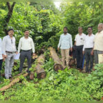 महाडमध्ये गुटखा कारवाईवरच प्रश्नचिन्ह; ₹6,156 च्या जप्तीनंतर ‘मोठे जाळे कुठे?’ असा सवाल