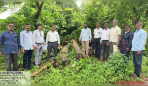 महाड तालुक्यातील किंजळोली येथे जप्त करण्यात आलेल्या सागवान लाकडासह वनविभागाचे अधिकारी आणि कर्मचारी