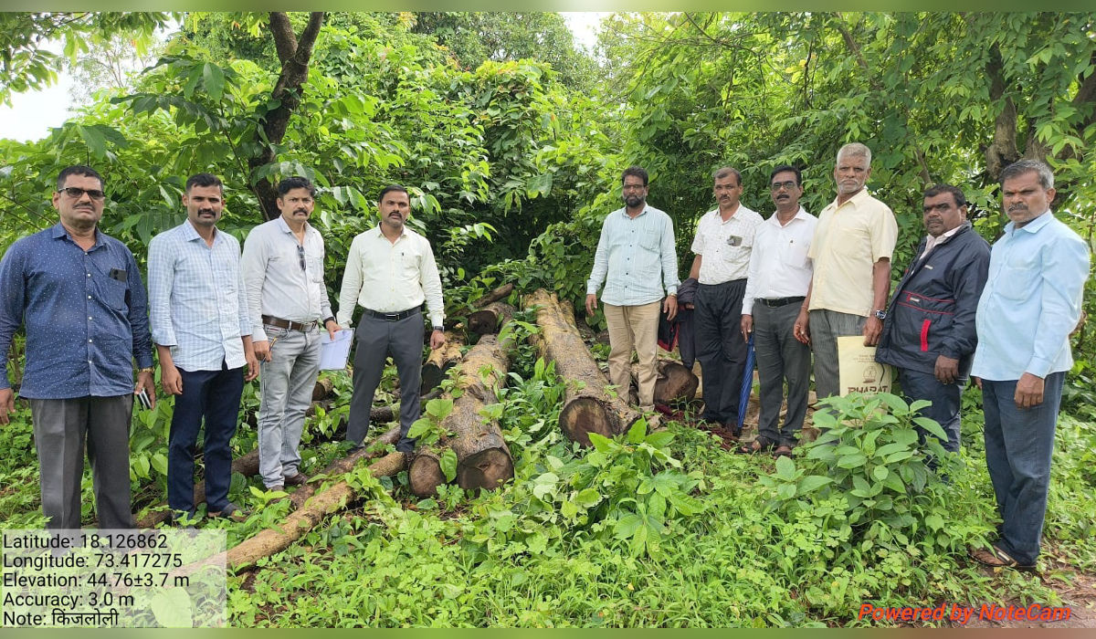 महाड तालुक्यातील किंजळोली येथे जप्त करण्यात आलेल्या सागवान लाकडासह वनविभागाचे अधिकारी आणि कर्मचारी