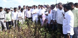 मराठवाड्यातील दुष्काळसदृश परिस्थितीच्या पार्श्वभूमीवर नुकसानग्रस्त पिकांची पाहणी