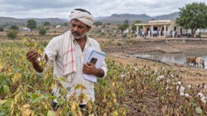 मराठवाड्यात दुष्काळी परिस्थितीत नुकसान झालेल्या सोयाबीन आणि कापूस पिकांची पाहणी करत पीक विम्याची कागदपत्रे हातात घेतलेला शेतकरी